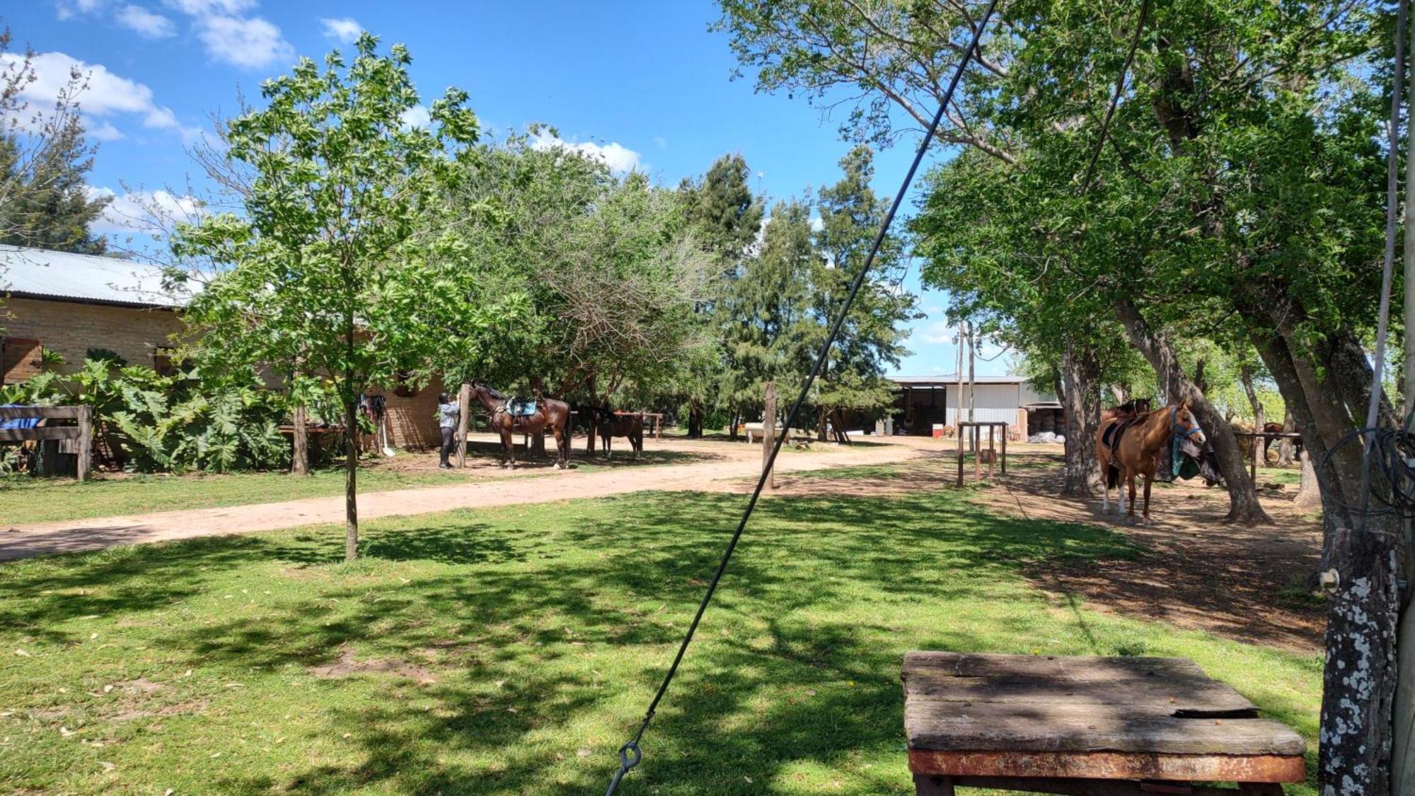 Cabana Rural El Encuentro San Antonio de Areco Oda fotoğraf