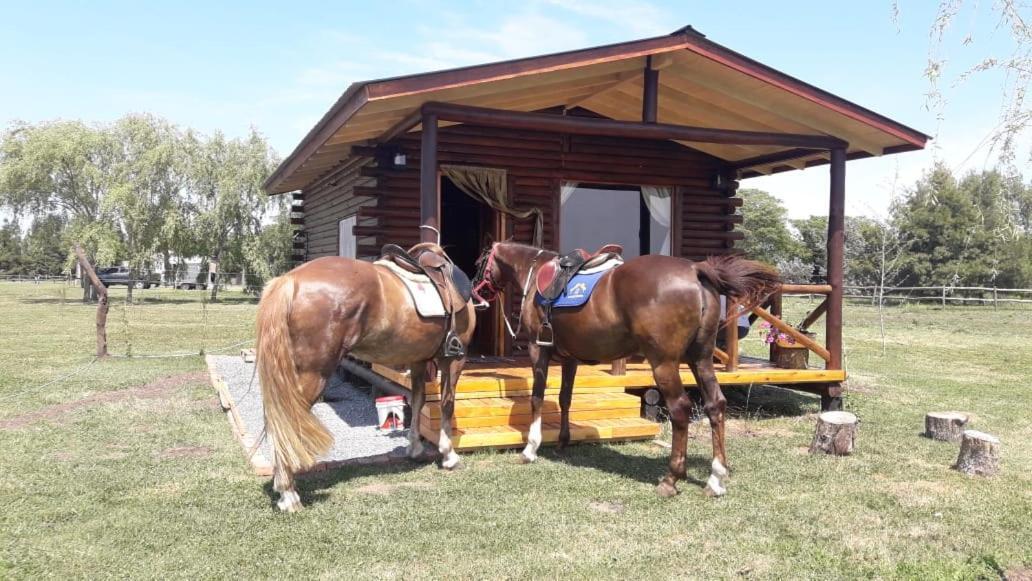 Cabana Rural El Encuentro San Antonio de Areco Dış mekan fotoğraf