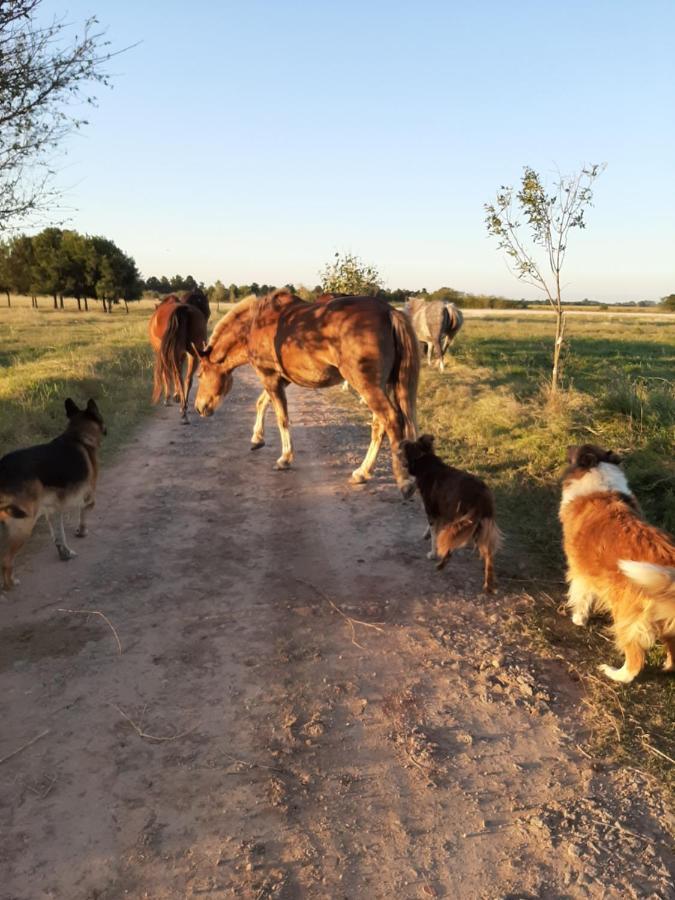 Cabana Rural El Encuentro San Antonio de Areco Dış mekan fotoğraf